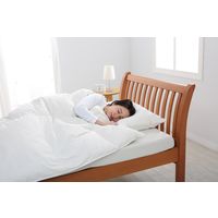 西川 ランドリエ ホワイトダックダウン85%羽毛掛けふとん KA01302007 1枚