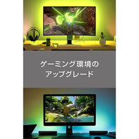 シグニファイ Hue Play エクステンション PLH20PE 1個（直送品）