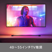 シグニファイ Hue Signe ライトチューブ PLH24LT 1個（直送品）
