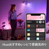 シグニファイ Hue フルカラーシングルランプ E26 75W PLH30CL 1個（直送品）