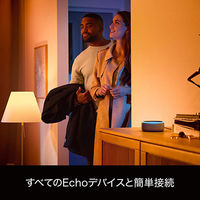 シグニファイ Hue ホワイトグラデーションシングル E17　PF版 PLH47GS 1個（直送品）