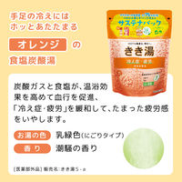 きき湯 炭酸入浴剤 食塩炭酸湯 360g お湯の色 乳緑色の湯（にごりタイプ）2個 アース製薬