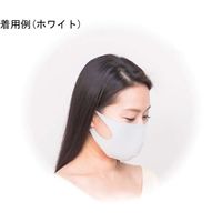 テクナード シリカクリン 抗菌消臭立体マスク BK(ブラック) M 65-2329-48 1枚（直送品）