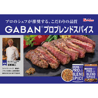 GABAN プロブレンドスパイス 袋入り 17g 3個 ハウス食品 チャック付き袋