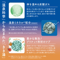 きき湯 ほぐれセット 6種アソート 1箱（30g×6包入） 個包装 錠剤 炭酸入浴剤 アース製薬