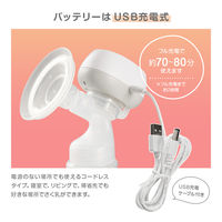 ちゃいなび 2WAY搾乳器(電動+手動) CH2WBPGRY 1個