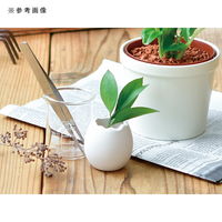 エッグプランター（S） キッチン菜園 室内園芸　51588　1個（直送品）