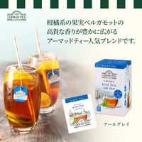 【水出し 紅茶】AHMAD TEA（アーマッドティー） コールドブリュー ティーバッグ アールグレイ 1箱（20バッグ入）