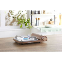 イワタニ カセットコンロ カセットフー 達人スリムプラス CB-TS-PLS 1台 岩谷産業（わけあり品）