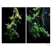 アクアテイラーズ EPIWEB Branches Standard Small 約250mm 231468 1個（直送品）