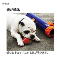 リッチェル ナーフドッグ テニスボール 2.5i 4P 262426 1個（直送品）