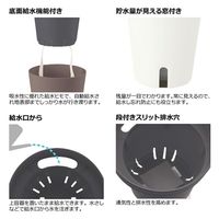 リッチェル ミエルノPlusポット 17型 ダークブラウン 270944 1個（直送品）