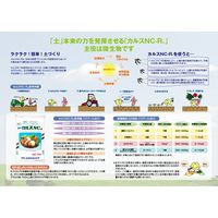 リサール酵産株式会社 粒状カルスNCーR 10kg 283492 1袋（直送品）