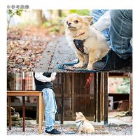 新東亜交易 イージードッグ ロードランナーライト デニム 241747 1個（直送品）