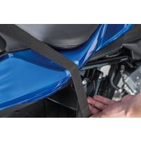 タナックス MFー4746 プロテクターシート フラット 1セット(4枚)（直送品）