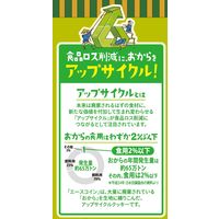 エースコイン抹茶味 10個 日清シスコ ビスケット クッキー