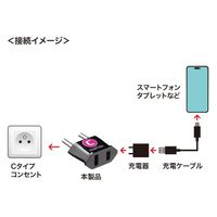 サンワサプライ 海外プラグ変換アダプタ C(イタリア・フランス・スウェーデン) TR-AD22 1個