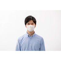 アイリスオーヤマ ナノエアーマスク　ふつう　PK-NI50L　1箱（50枚入：25枚入×2パック）（直送品）