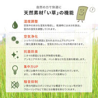 【玄関渡し】 萩原 すき間のできにくい小型置き畳　四季　同色6枚組 ブラウン 65×65×1.5cm（直送品）