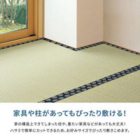 【玄関渡し】 萩原 フリーカット裏付き　い草カーペット　みすず　江戸間3畳　補修テープ付き  174×261cm（直送品）