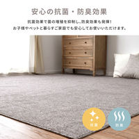 萩原 防炎加工の平織カーペット モーエン 江戸間2畳 グレー 600092720 1枚