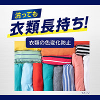 ナノックス ワン（NANOX one）PRO プロ 本体 大サイズ 600g 1個 洗濯 洗剤 ライオン（イチオシ）