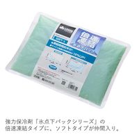 倍速凍結 氷点下パック ソフトL 81660646 1個 LOGOS/ロゴス