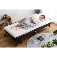 折りたたみベッド　アイリスオーヤマ　14段リクライニング　スリム軽量 コンパクト収納　簡易ベッド　仮眠室　防災　避難所　OTB-BRN 1台