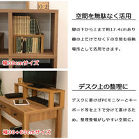 エイ・アイ・エス 便利な棚 幅600×奥行200×高さ174mm ブラウン GU-SET13 BR 1台（直送品）