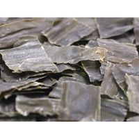 内堀醸造 美濃特選味付ぽん酢 360ml 3本