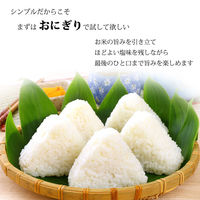 瀬戸内の花藻塩 500g 1個 白松