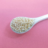 トーラス 歯みがきラクヤー 愛猫用 25g 1個 オシャレ猫 食べる歯みがき