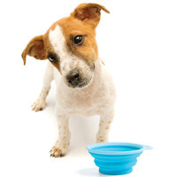 犬用 水飲み ぺたんこボウル S ブルー