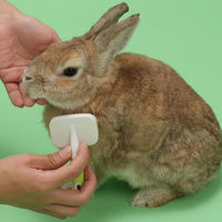 うさぎ 抜け毛取り ウサギのスリッカーブラシ ミニアニマルマン 1個 ドギーマン