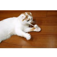 キャティーマン じゃれ猫 ベビーマウス 5個入り 猫用 おもちゃ ねずみ