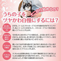 ハードスリッカーブラシ L 犬猫用 プレシャンテ ペティオ