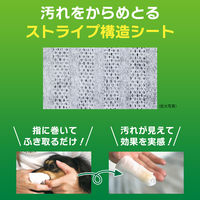 歯みがきシート ペットキッス（PETKISS）犬猫用 アップルの香り 国産 30枚入り 10袋 ライオンペット