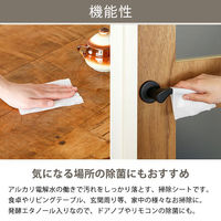 お掃除シート アルカリ電解水クリーナー 食卓テーブル・リビング用 1パック（100枚入り）  オリジナル