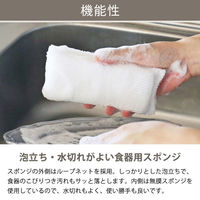 スポンジ 泡立ちやすく水切れもいい ネットタイプ 食器用 2個入×2パック ロハコ （LOHACO）  オリジナル