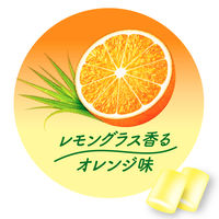 クロレッツ AROMATIME レモングラス香るオレンジ味ボトル 1個 モンデリ-ズ ガム