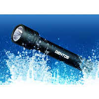 懐中電灯 LED IP66及びIP67準拠 ブラック ジェントス STELLA 高耐久ハンディトーチ ST-032D 1個