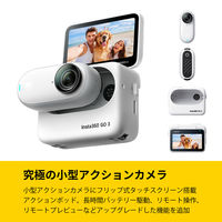 Shenzhen Arashi Vision Insta360 Go 3 (64GB) CINSABKA_GO301 1台