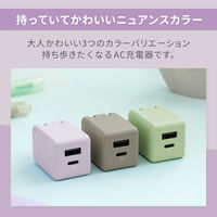 オウルテック PD20W 持ち歩きたくなる可愛いニュアンスカラーのAC充電器 ピスタチオ OWL-APD20A1C1R-PS 1個
