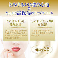 メンソレータム メルティクリームリップ ミルクバニラ 2.4g SPF25・PA+++ ロート製薬