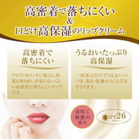 メンソレータム プレミアムメルティクリームリップ 花咲く蜂蜜の香り ロート製薬