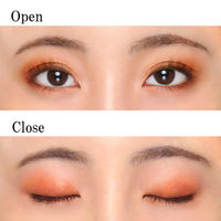 ちふれ化粧品 ツインカラーアイシャドウ42 アイカラー アイシャドー