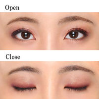 ちふれ化粧品 ツインカラーアイシャドウ75 アイカラー アイシャドー