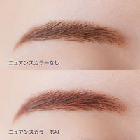 ちふれ化粧品 アイブロー パウダー PK10（ピンク系ブラウン）