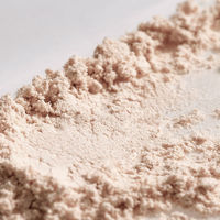 ちふれ化粧品 プレストパウダーS 1（ルーセント） 10g