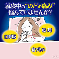 のどぬ～るスプレーナイテクト 15ml 小林製薬【第3類医薬品】